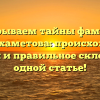 Раскрываем тайны фамилии Дильмухаметова: происхождение, история и правильное склонение в одной статье!