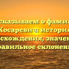 Рассказываем о фамилии Косаревич: история происхождения, значение и правильное склонение