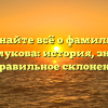 Узнайте всё о фамилии Мелкомукова: история, значения и правильное склонение!
