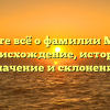 Узнайте всё о фамилии Мемис: происхождение, история, значение и склонение