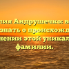 Фамилия Андрушечко: все, что нужно знать о происхождении и склонении этой уникальной фамилии.
