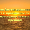 Фамилия Антух: возникновение, значения и правильное склонение — все, что нужно знать о своих предках