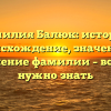 Фамилия Балюк: история, происхождение, значение и склонение фамилии – все, что нужно знать