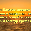 Фамилия Бамбур: происхождение, история и значения – всё, что нужно знать. Узнайте о склонении фамилии Бамбур прямо сейчас!