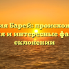 Фамилия Барей: происхождение, значения и интересные факты о её склонении