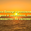 Фамилия Бенер: происхождение, история и значение, полное руководство по склонению