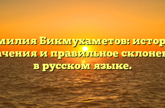 Фамилия Бикмухаметов: история, значения и правильное склонение в русском языке.