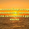 Фамилия Бобр: история возникновения, значения и правила склонения в русском языке