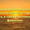 Фамилия Бобышева: исследуем происхождение, историю и значения, а также склонение этой фамилии