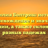 Фамилия Болтрик: история, происхождение и значение фамилии, а также склонение в разных падежах