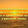 Фамилия Большешальский: история и происхождение, значение и правильное склонение в русском языке