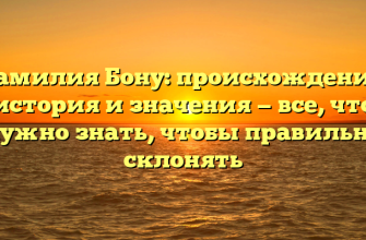 Фамилия Бону: происхождение, история и значения — все, что нужно знать, чтобы правильно склонять