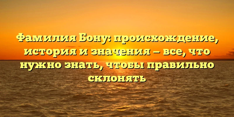 Фамилия Бону: происхождение, история и значения — все, что нужно знать, чтобы правильно склонять Фамилия Бону: происхождение, история и значения — все, что нужно знать, чтобы правильно склонять