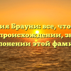 Фамилия Брауни: все, что нужно знать о происхождении, значении и склонении этой фамилии
