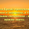 Фамилия Бриж: происхождение, история и значение, а также правильное склонение – всё, что нужно знать.