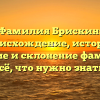 Фамилия Брискин: происхождение, история, значение и склонение фамилии — всё, что нужно знать!