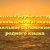 Фамилия Бурко: история происхождения и значения, правильное склонение для родного языка