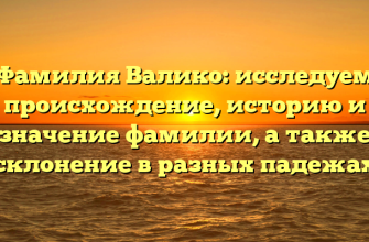 Фамилия Валико: исследуем происхождение, историю и значение фамилии, а также склонение в разных падежах