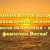 Фамилия Вигна: история происхождения, значения и правила склонения — всё о фамилии Вигна!