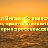 Фамилия Вильный: родословная и значение, правильное склонение и история происхождения