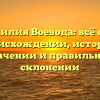 Фамилия Воевода: всё об её происхождении, истории, значении и правильном склонении