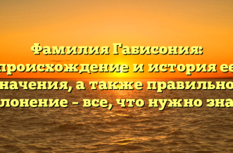 Фамилия Габисония: происхождение и история ее значения, а также правильное склонение – все, что нужно знать