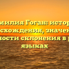 Фамилия Гоган: история происхождения, значения и особенности склонения в разных языках