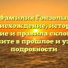 Фамилия Гонзолы: происхождение, история, значение и правила склонения – загляните в прошлое и узнайте подробности