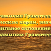 Фамилия Грамотеев: исторические корни, значимость и правильное склонение – все о фамилии Грамотеев