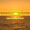 Фамилия Губенок: история, происхождение и особенности склонения
