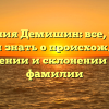 Фамилия Демишин: все, что вы хотели знать о происхождении, значении и склонении этой фамилии