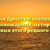 Фамилия Дристун: исследование происхождения, истории и склонения этого редкого имени