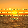 Фамилия Дрокин: история происхождения, значение и особенности склонения — полный обзор