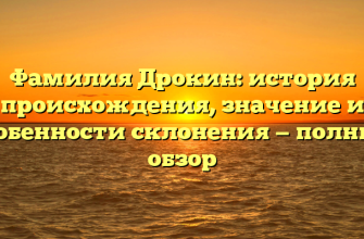 Фамилия Дрокин: история происхождения, значение и особенности склонения — полный обзор