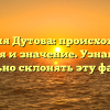 Фамилия Дутова: происхождение, история и значение. Узнайте как правильно склонять эту фамилию