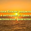Фамилия Елхов: родословная, переход в истории и практическое склонение фамилии