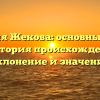 Фамилия Жекова: основные факты и история происхождения, склонение и значение