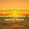 Фамилия Жуина: происхождение, история и склонение в именительном падеже – всё, что нужно знать