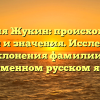 Фамилия Жукин: происхождение, история и значения. Исследование склонения фамилии в современном русском языке.