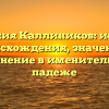 Фамилия Каллиников: история происхождения, значение и склонение в именительном падеже
