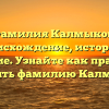 Фамилия Калмыков: происхождение, история и значение. Узнайте как правильно склонять фамилию Калмыкова