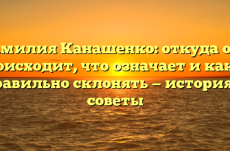 Фамилия Канашенко: откуда она происходит, что означает и как ее правильно склонять — история и советы