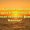 Фамилия Капица: происхождение, история и значение. Как правильно склонять фамилию Капица?