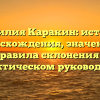 Фамилия Каракин: история происхождения, значения и правила склонения в практическом руководстве