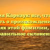 Фамилия Карнаух: все, что нужно знать о происхождении и значениях этой фамилии, а также правильное склонение