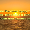 Фамилия Кессель: представляем историю, значения и склонение фамилии для вашего знания