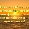Фамилия Кишкин: происхождение, история и значение фамилии, а также склонение по падежам — всё, что нужно знать!