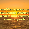 Фамилия Княжевич: история, происхождение и склонение — полный гайд для исследования своих корней