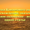 Фамилия Ковзолович: история происхождения, значение и правильное склонение – все о ней в одной статье