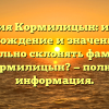 Фамилия Кормилицын: история, происхождение и значение. Как правильно склонять фамилию Кормилицын? — полная информация.